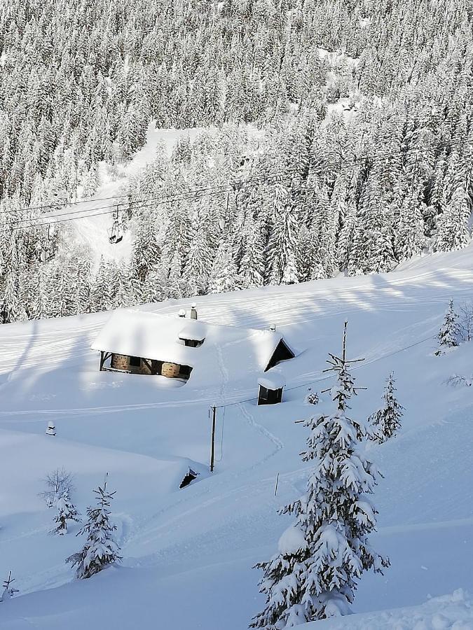 Studio Au Clos Des Gentianes Collet D'Allevard Apartment Екстериор снимка
